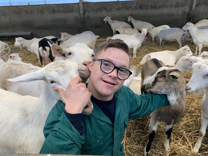 Zorgboerderijen