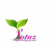 Lotuz Dagbesteding